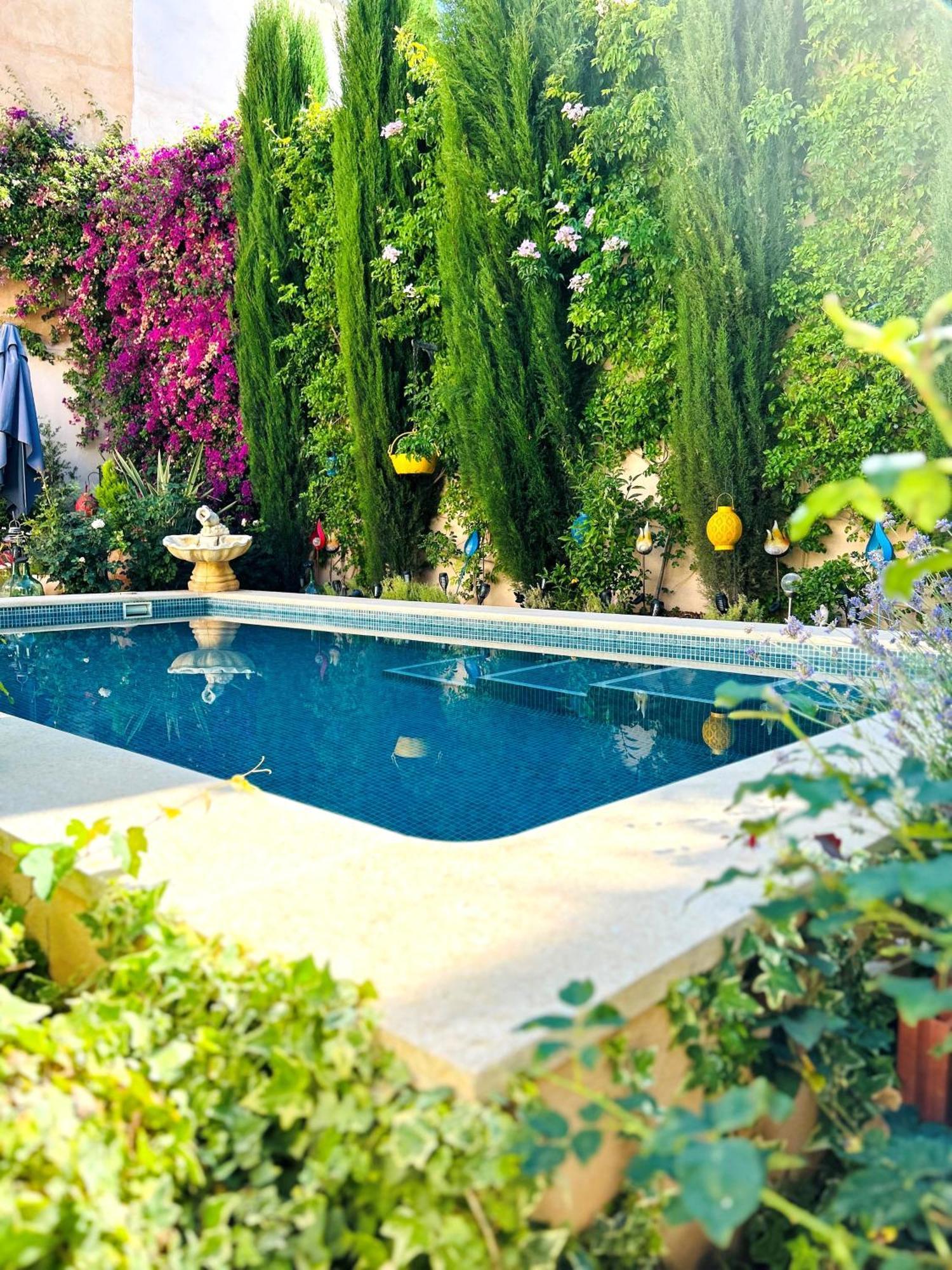 Pinoso Boutique B&B Suite At Casa Grande מראה חיצוני תמונה